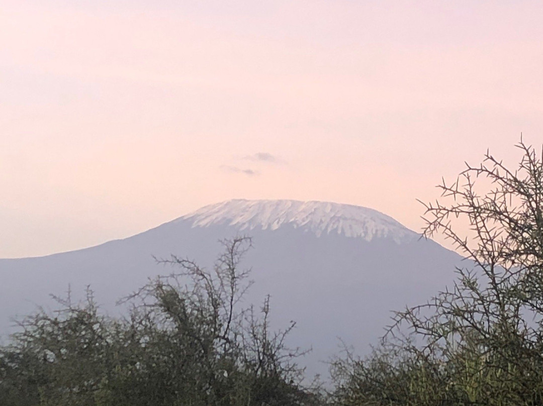 Safari Afrique-蒙巴萨必去景点