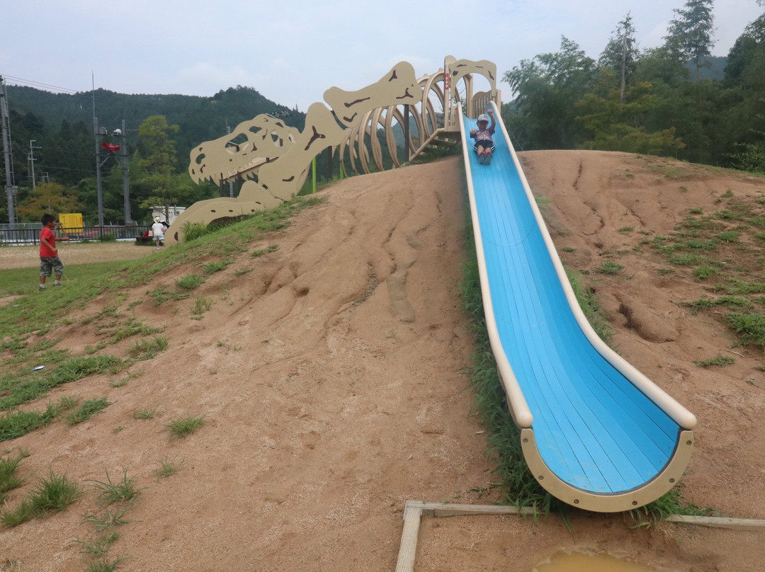 Tamba Ryunosato Park-丹波市必去景点