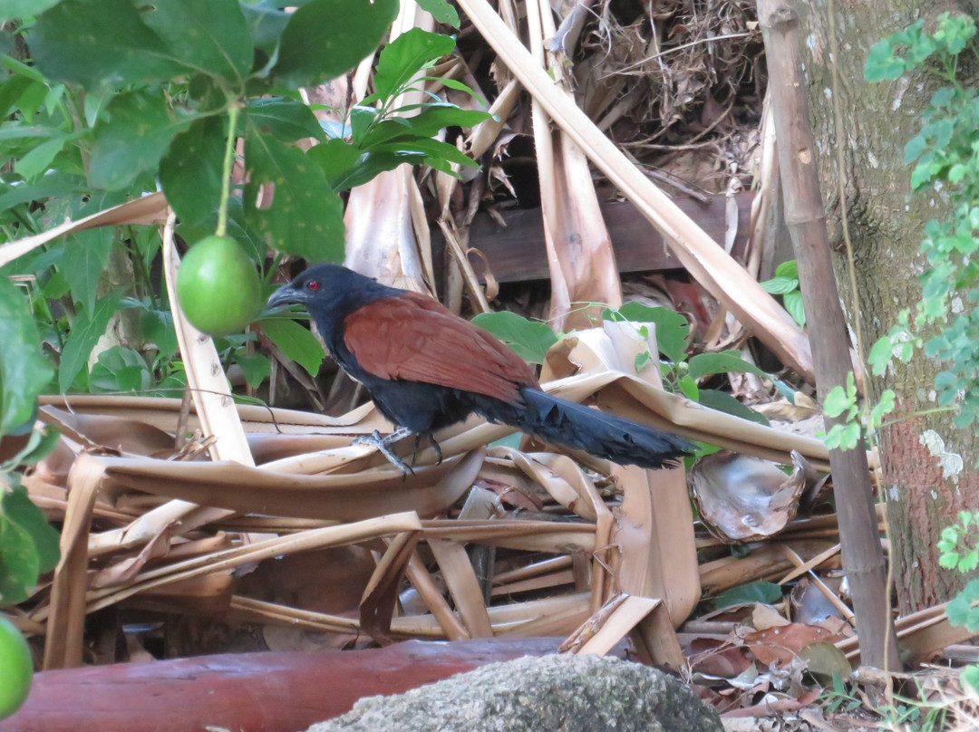 蝉之栈酒店主图