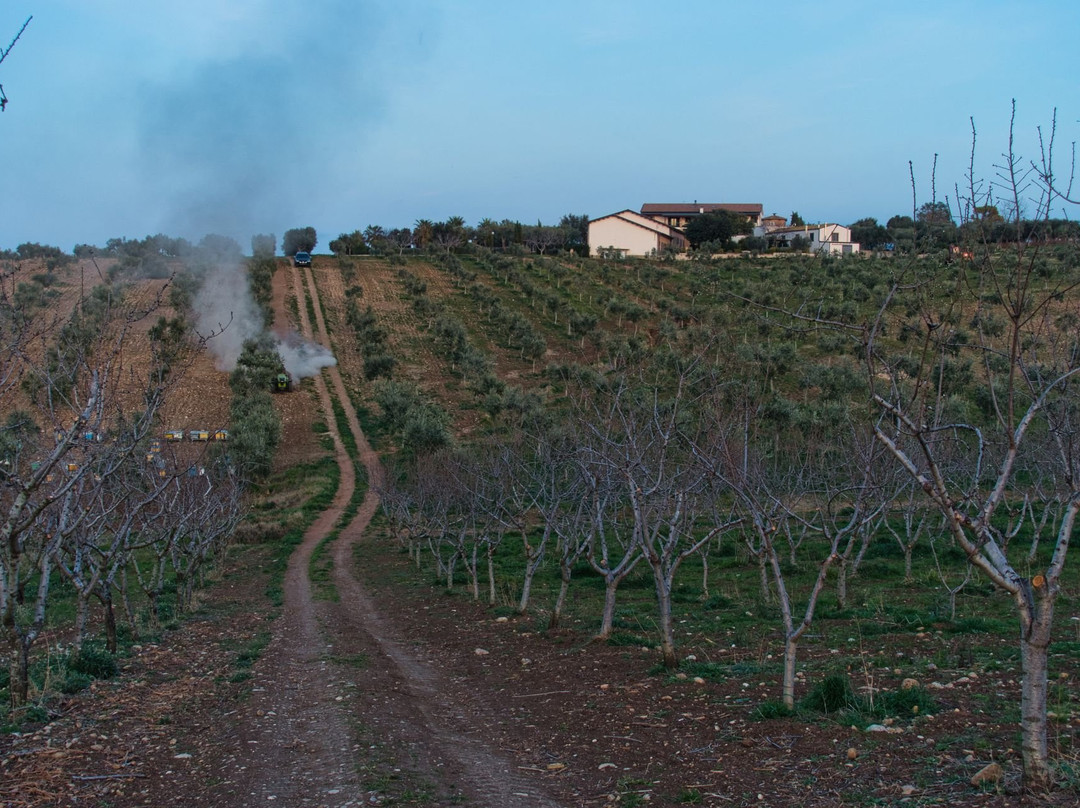 Masseria Casacapanna主图