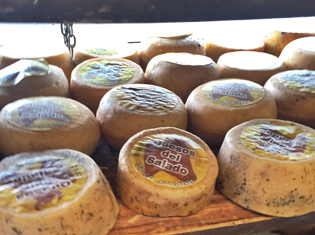 El Viejo Vizcacha, Chascomus, Provincia de Buenos Aires, Argentina-查斯科木斯必去景点