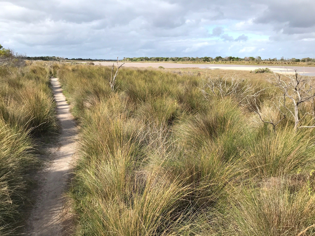Edwards Point State Faunal Reserve-St Leonards必去景点