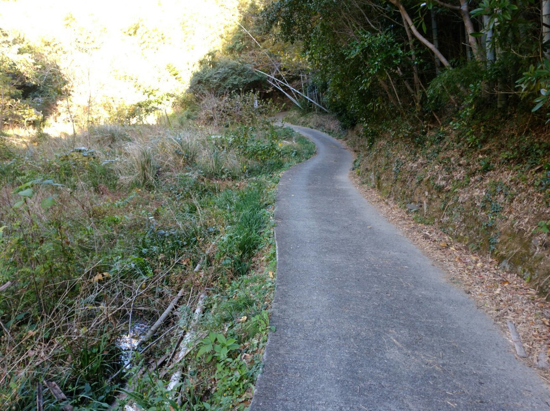 Izawa Shrine景点图片