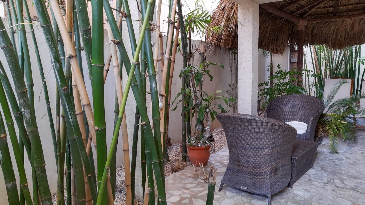 Bayahibe Guesthouse-泳池