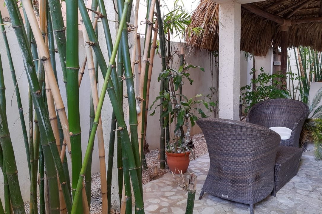 Bayahibe Guesthouse主图