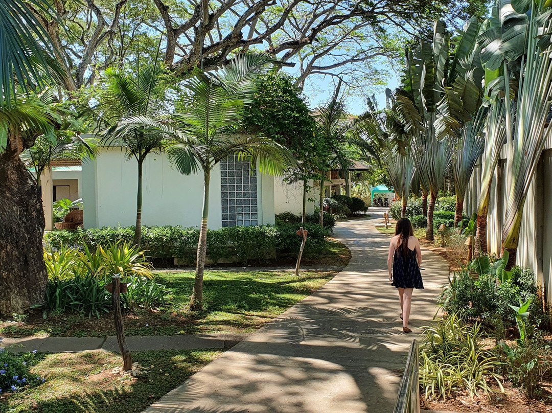 Munting Paraiso主图