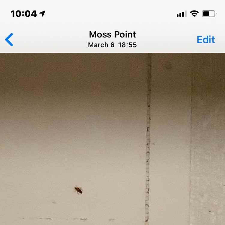 Quality Inn Moss Point - Pascagoula主图