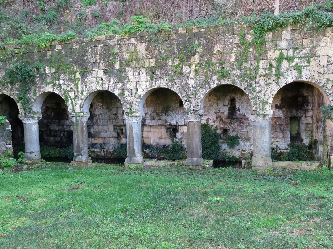 Fontana Nova-塔尔奎尼亚必去景点