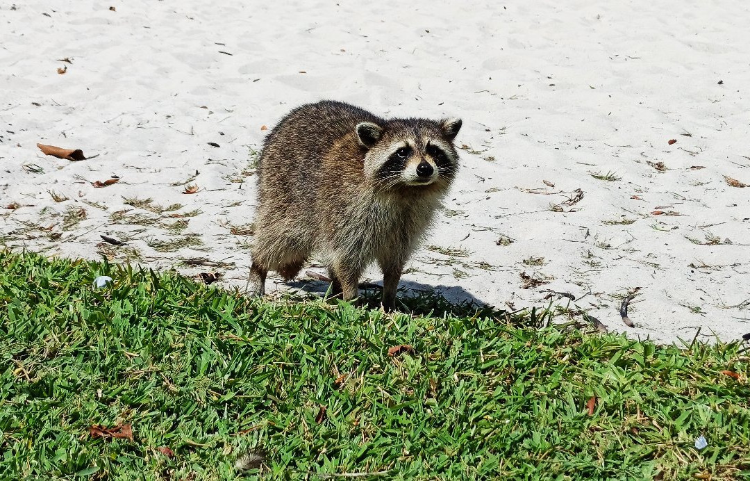 Homestead Bayfront Park-霍姆斯特德必去景点
