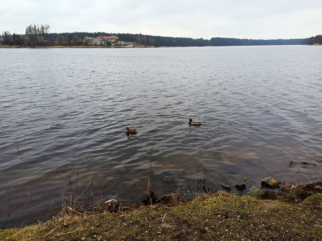 Jezioro Durowskie景点图片