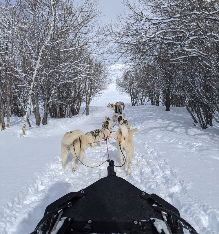White Forest景点图片