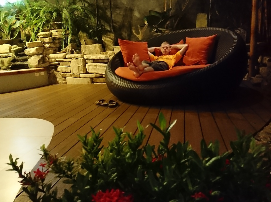 阿罗那黄金棕榈酒店主图