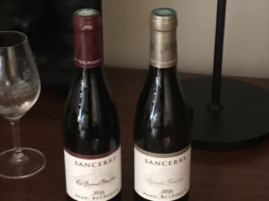 Hôtel-Restaurant Famille Bourgeois主图