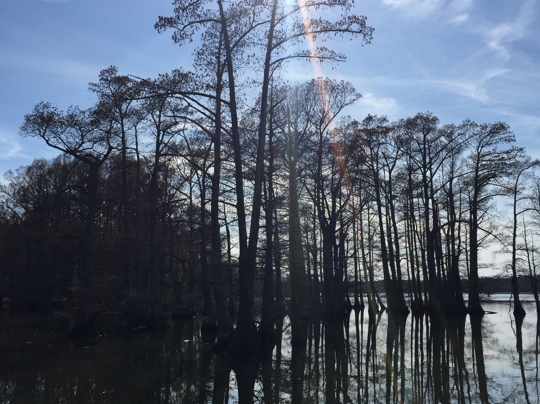 Reelfoot National Wildlife Refuge-尤宁城必去景点