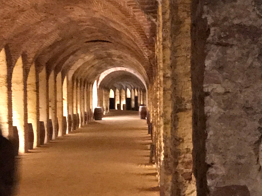 Bodegas del Real Cortijo-Cortijo de San Isidro必去景点
