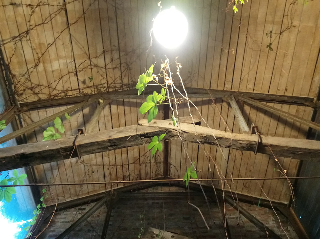 Bodega San Javier-圣哈维尔必去景点