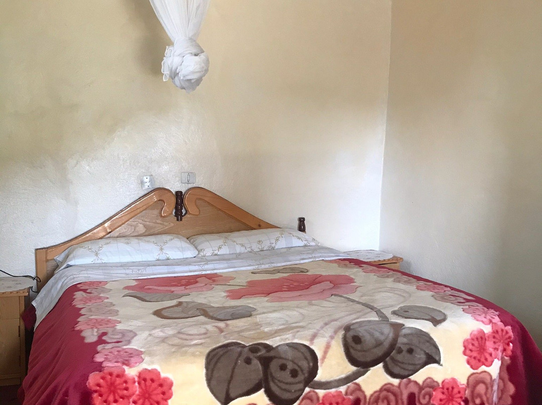 Zubeyda Waber Harar Cultural Guesthouse主图