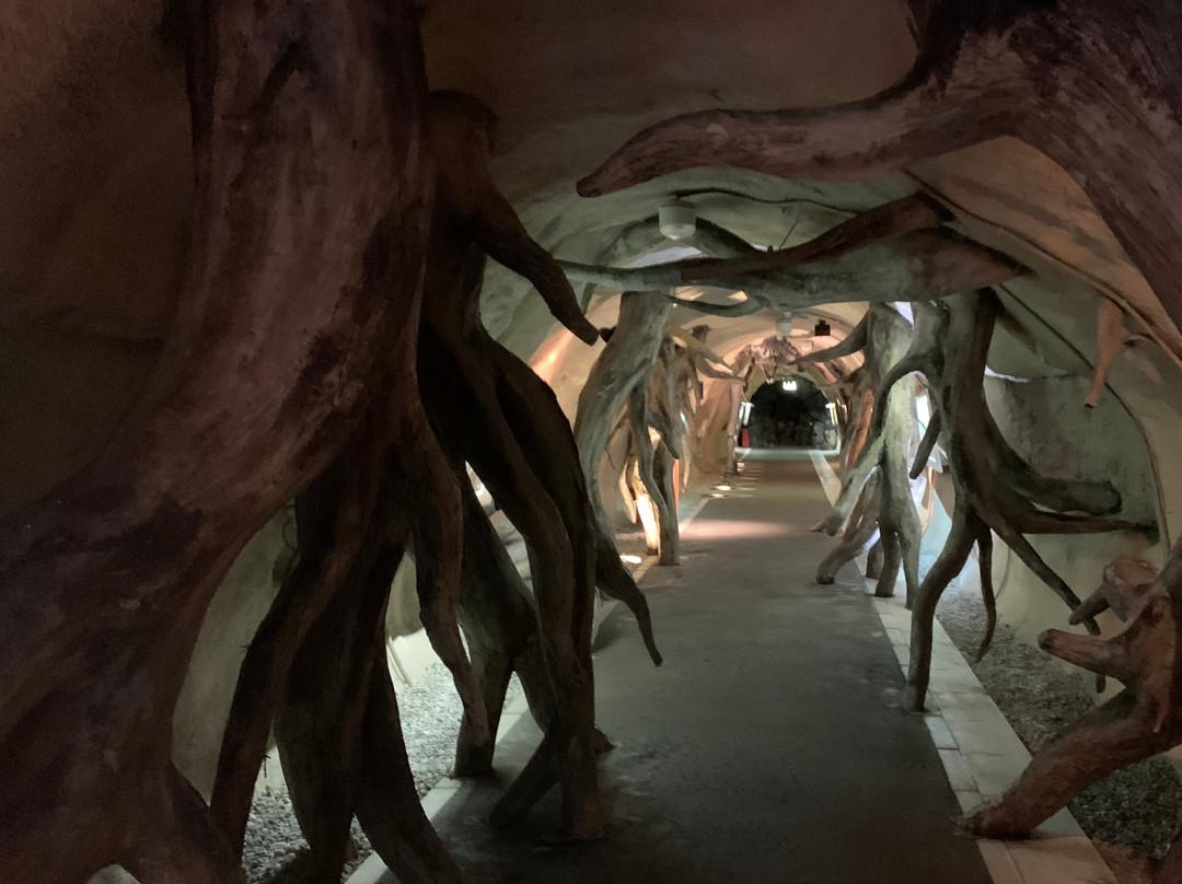 Mizunami Earth Corridor-瑞浪市必去景点