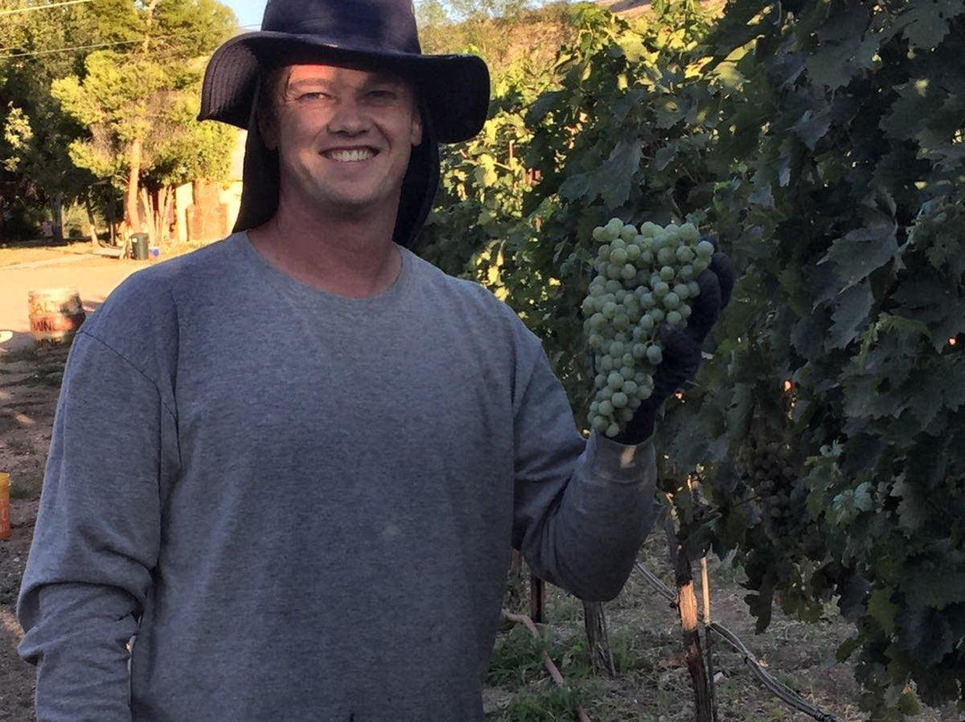 Salt Mine Wine-Camp Verde必去景点