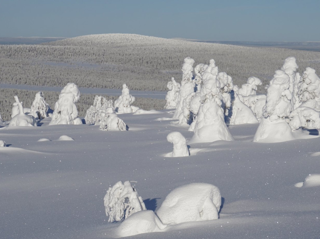 Sallatunturi Snowshoe Route-Salla必去景点