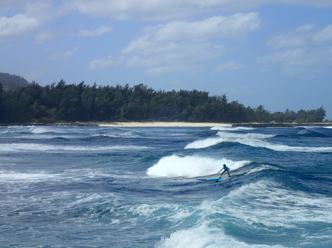 Hawaii Surf Dogs-卡胡库必去景点