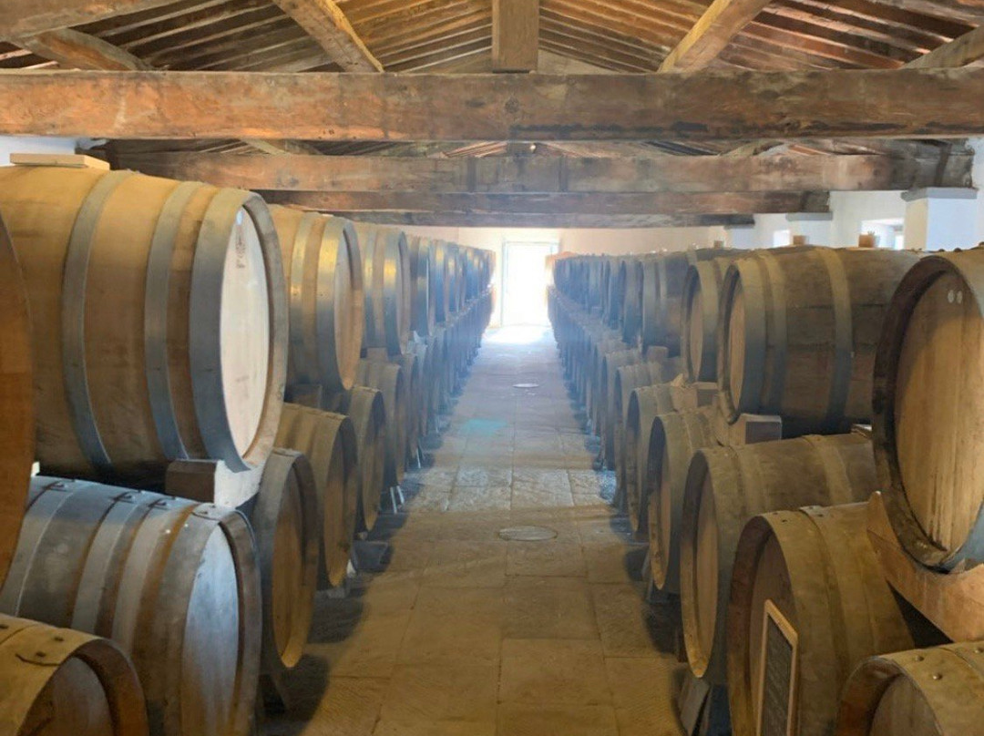 Castello Pomino-Rufina必去景点