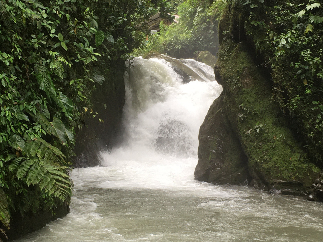 Mindo Nambillo Cloud Forest Reserve-明多必去景点