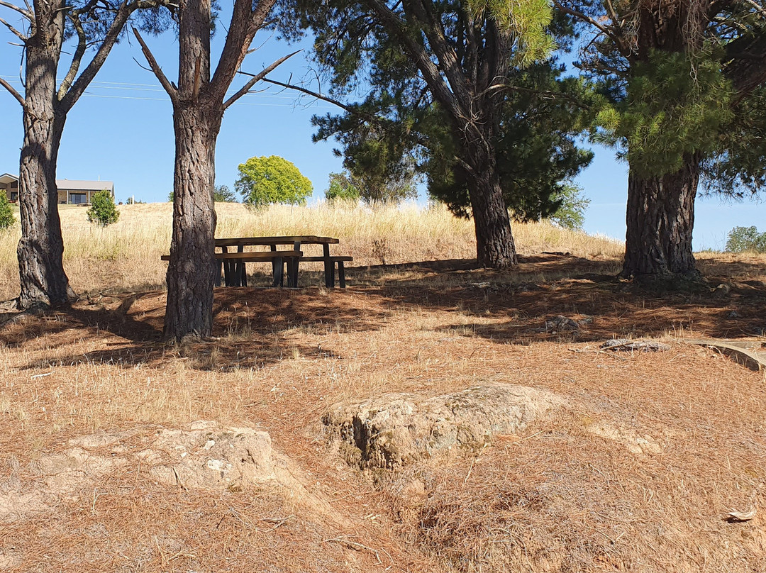 Jim Newman's Lookout-Tintaldra必去景点