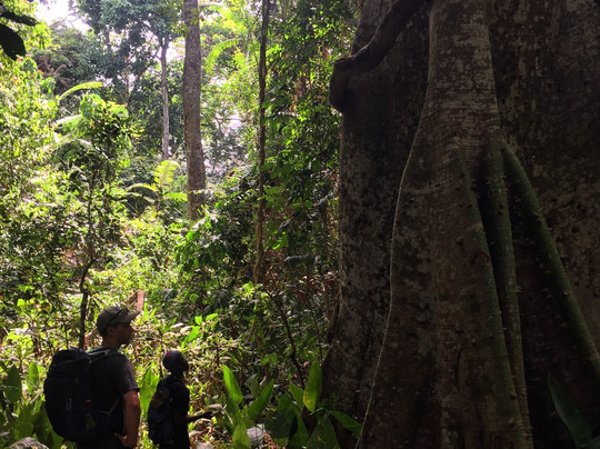 Outamba Kilimi National Park-Northern Province必去景点