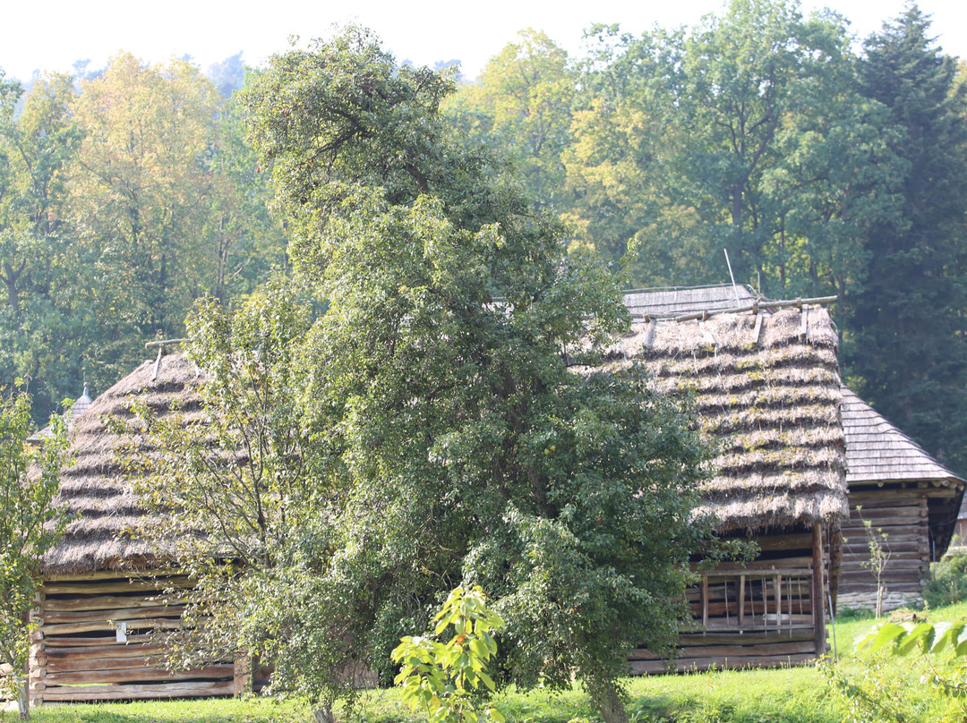 Sariske Muzeum Bardejov景点图片