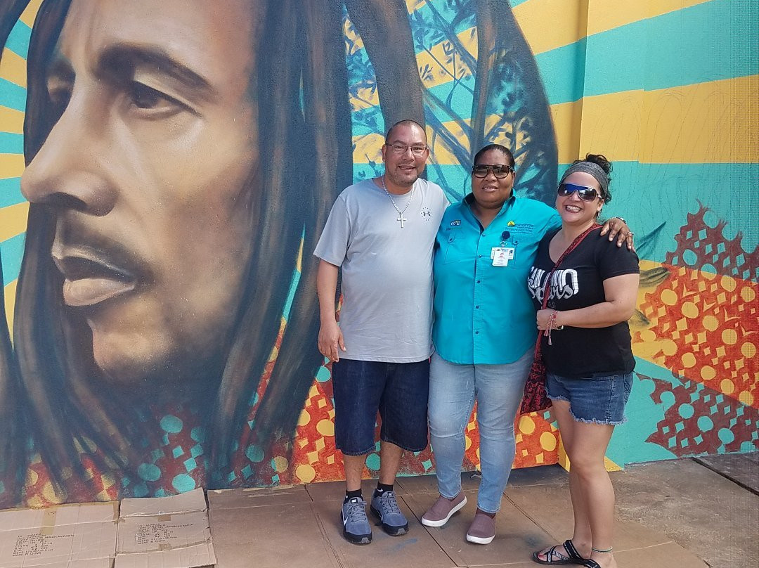 Suzette Tours Jamaica-奥乔里奥斯必去景点