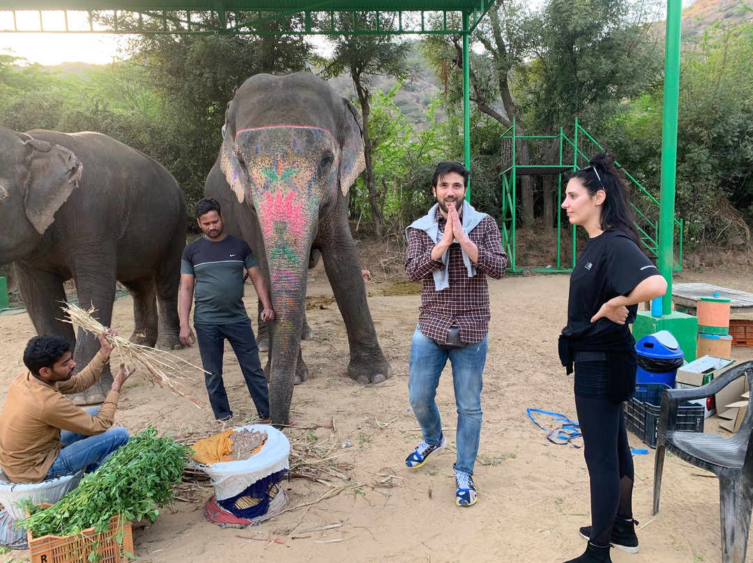 My Elephant Trip景点图片