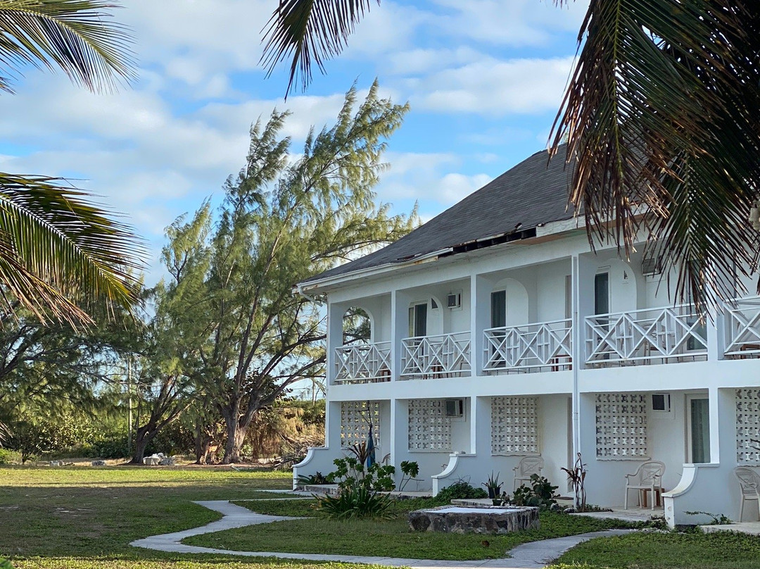 埃克苏马棕榈树酒店主图