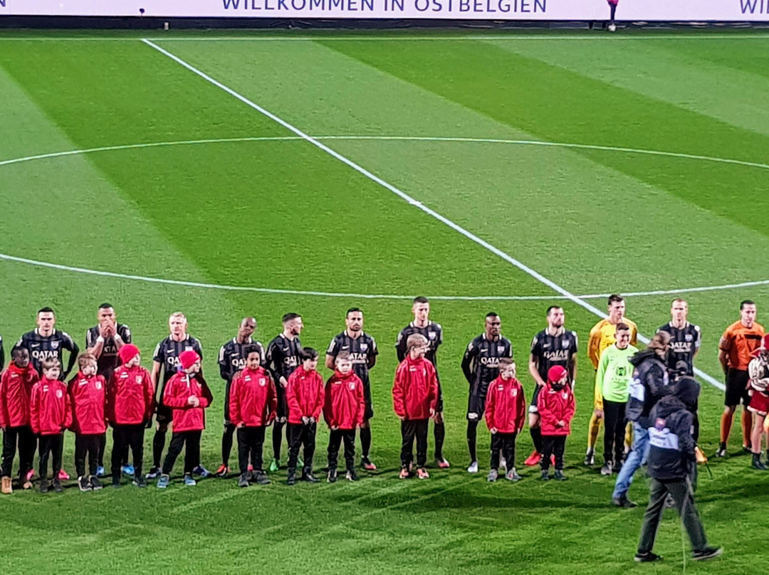 Kehrwegstadion景点图片