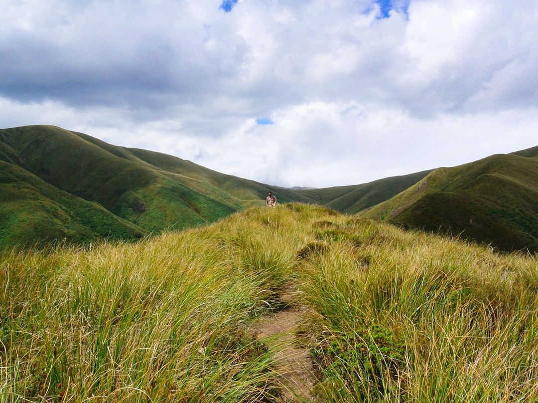 Rangiwahia Hut Track景点图片