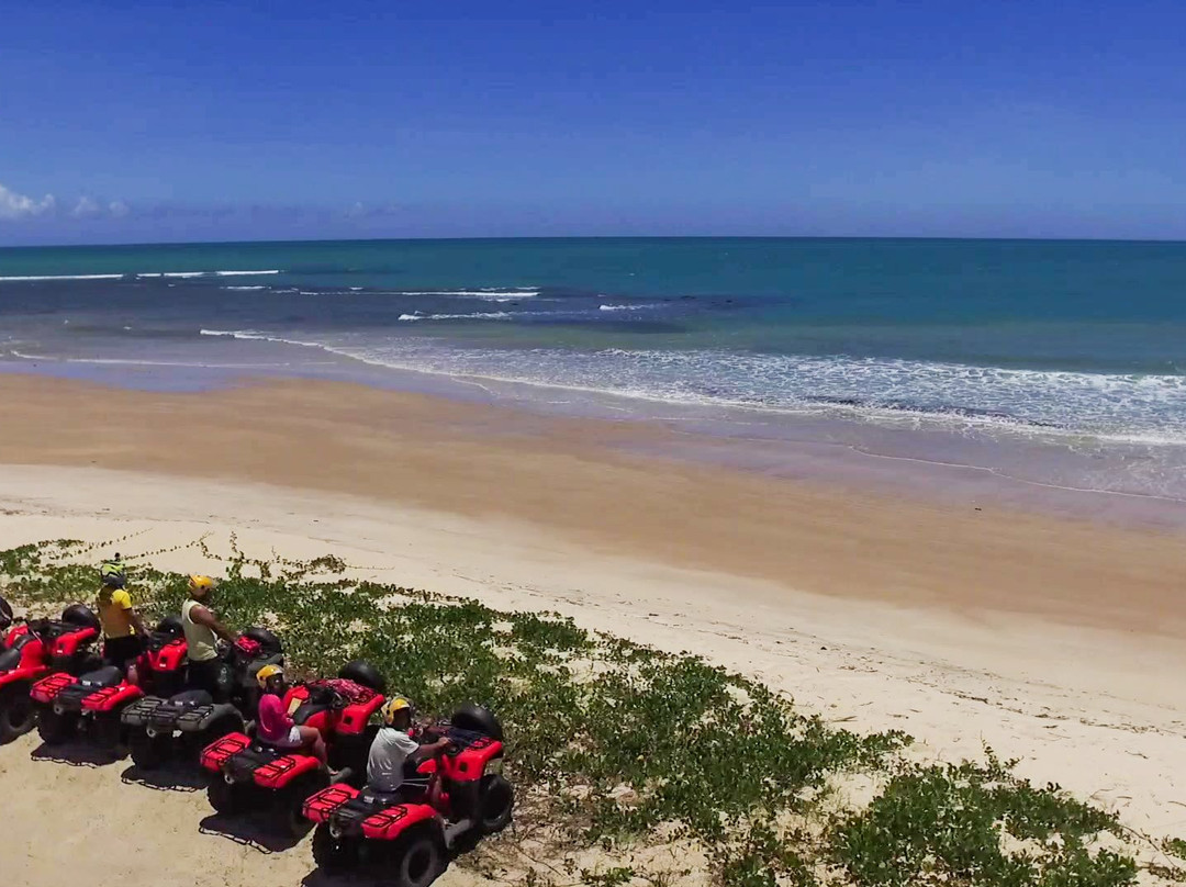 Ponta de Itaquena-特兰科苏必去景点