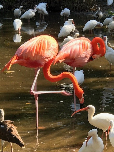 The Wonder Gardens-博尼塔斯普林斯必去景点