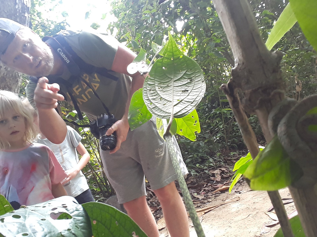 The Biologist from Cahuita景点图片