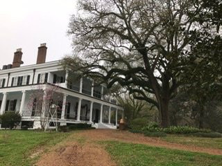 Brandon Hall Plantation主图