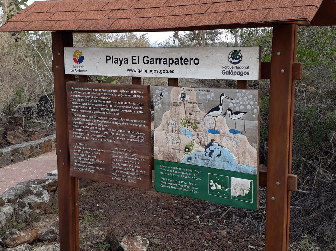 El Garrapatero景点图片