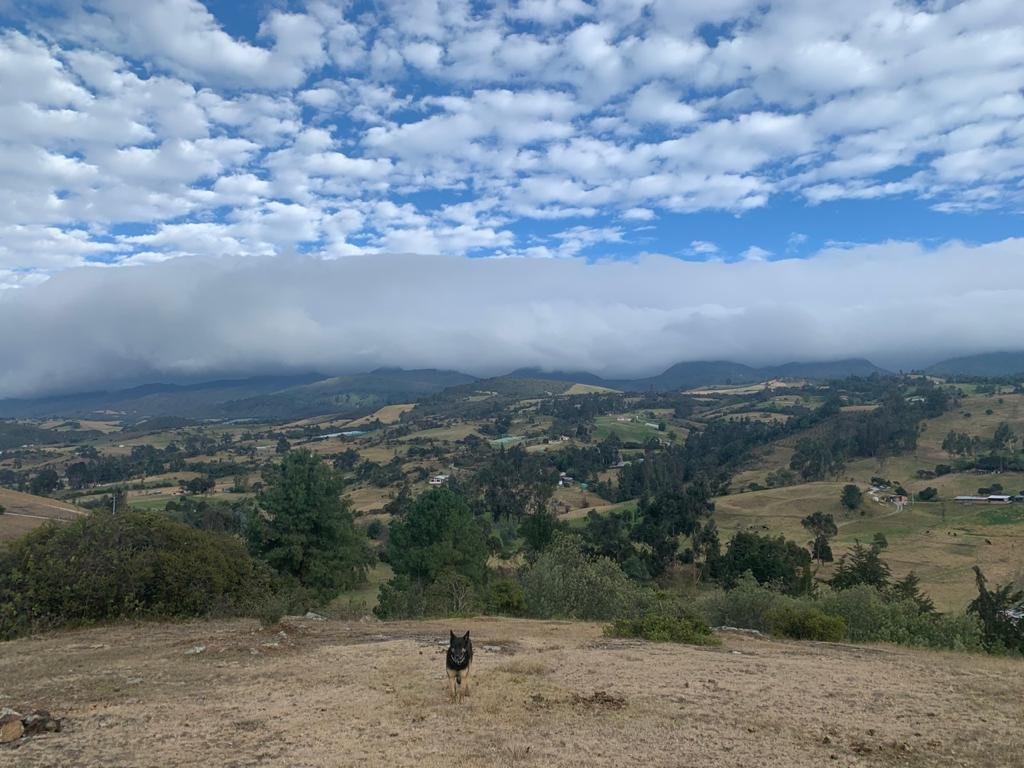 La Rivera Del Ave主图