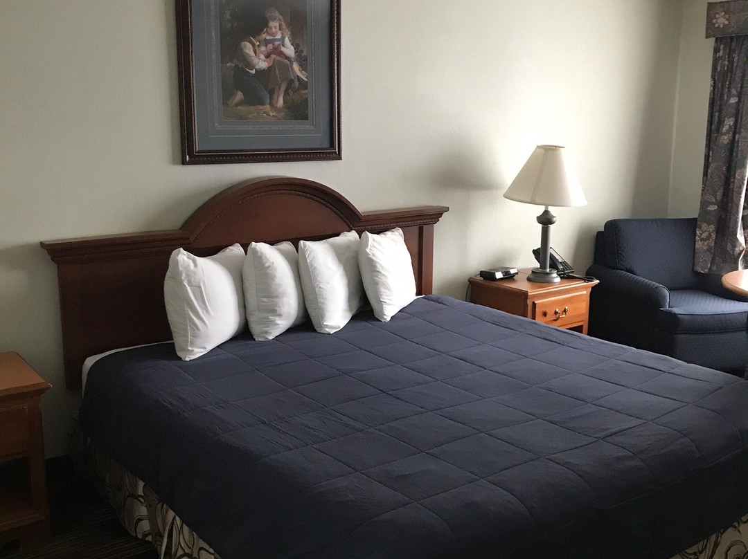 Fontana Village Inn主图