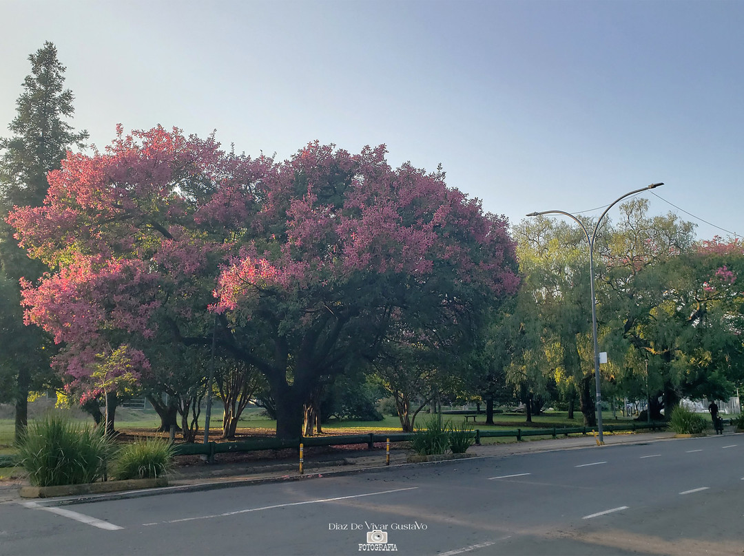 Parque Eva Hajduk-Berazategui必去景点