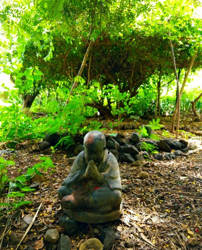 Jardin Tropical景点图片