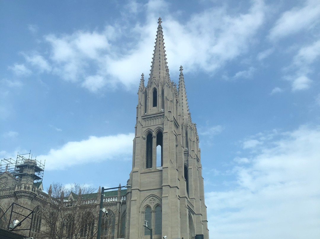 Cathedral of the Immaculate Conception景点图片
