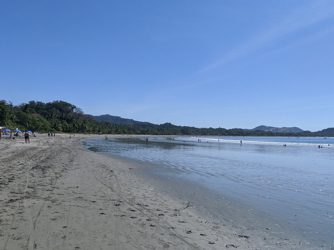 Fenix Hotel - On The Beach主图