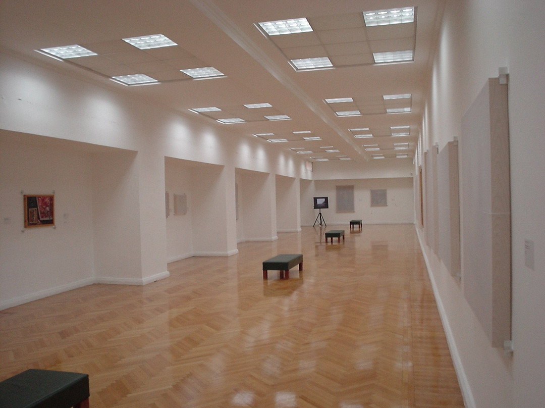 National Gallery of Art-地拉那必去景点