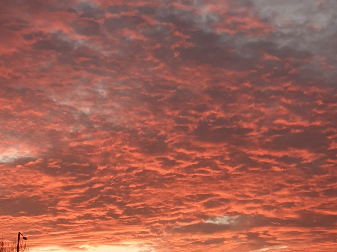 Kingswood旅游攻略图片