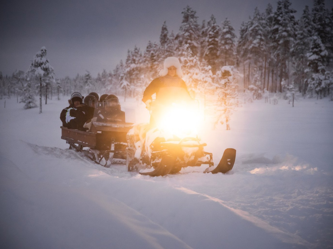 LIVING WITH REINDEER TOURS-Sodankyla必去景点