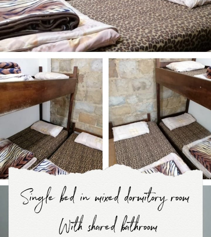 Tiger House Pension主图